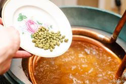 Варка и брожение