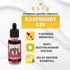 Изображение Эссенция Elix Raspberry Gin, 30 ml