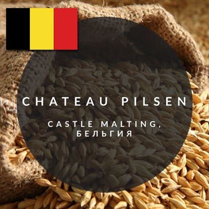 Изображение "CHATEAU PILSEN", Castle Malting, 1 кг