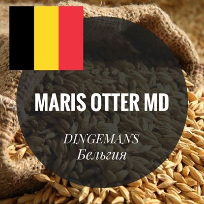 Изображение "Maris Otter MD", DINGEMANS, 1 кг