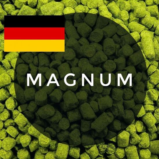 Изображение Хмель Магнум / Magnum hops (Германия), 0,1 кг | 13,4% | 2024