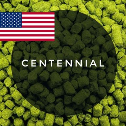 Изображение Хмель Центениал / Centennial (Соединенные Штаты), 0,1 кг | 10% | 2025