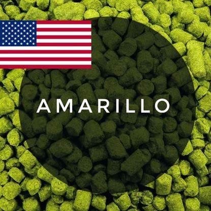 Изображение Хмель Амарилло / Amarillo (Соединенные Штаты), 0,1 кг | 8,5% | 2025