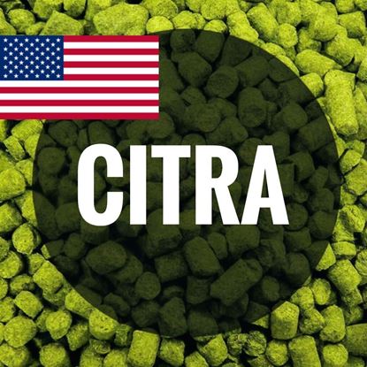 Picture of Хмель Цитра / Citra hops (Соединенные Штаты), 50 г | 15,2% | 2024