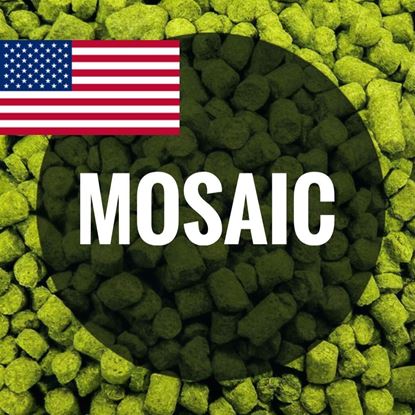 Picture of Хмель Мозаик / Mosaic (Соединенные Штаты), 0,5 кг | 12,1% | 2025
