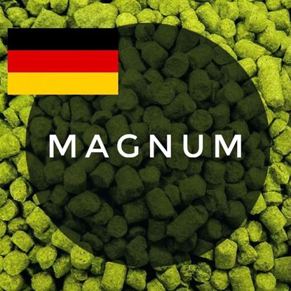 Изображение Хмель Магнум / Magnum hops (Германия), 50 г | 13,4% | 2024