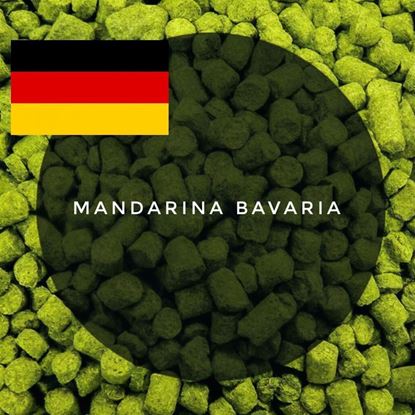 Изображение Хмель Мандарина Бавария / Mandarina Bavaria (Германия), 50 г | 9,1% | 2025