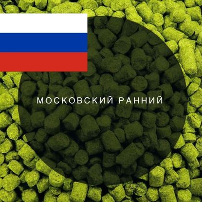 Изображение Хмель Московский ранний / (Россия), 50 | 4,2% | 2024