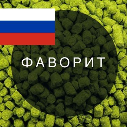 Изображение Хмель Фаворит / (Россия), 50 | 4,6% | 2025
